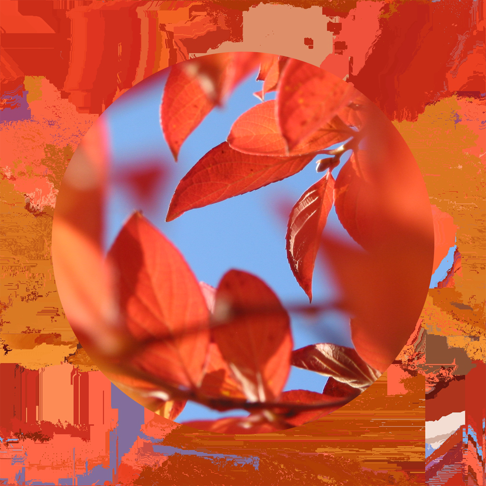 [Description image 1]