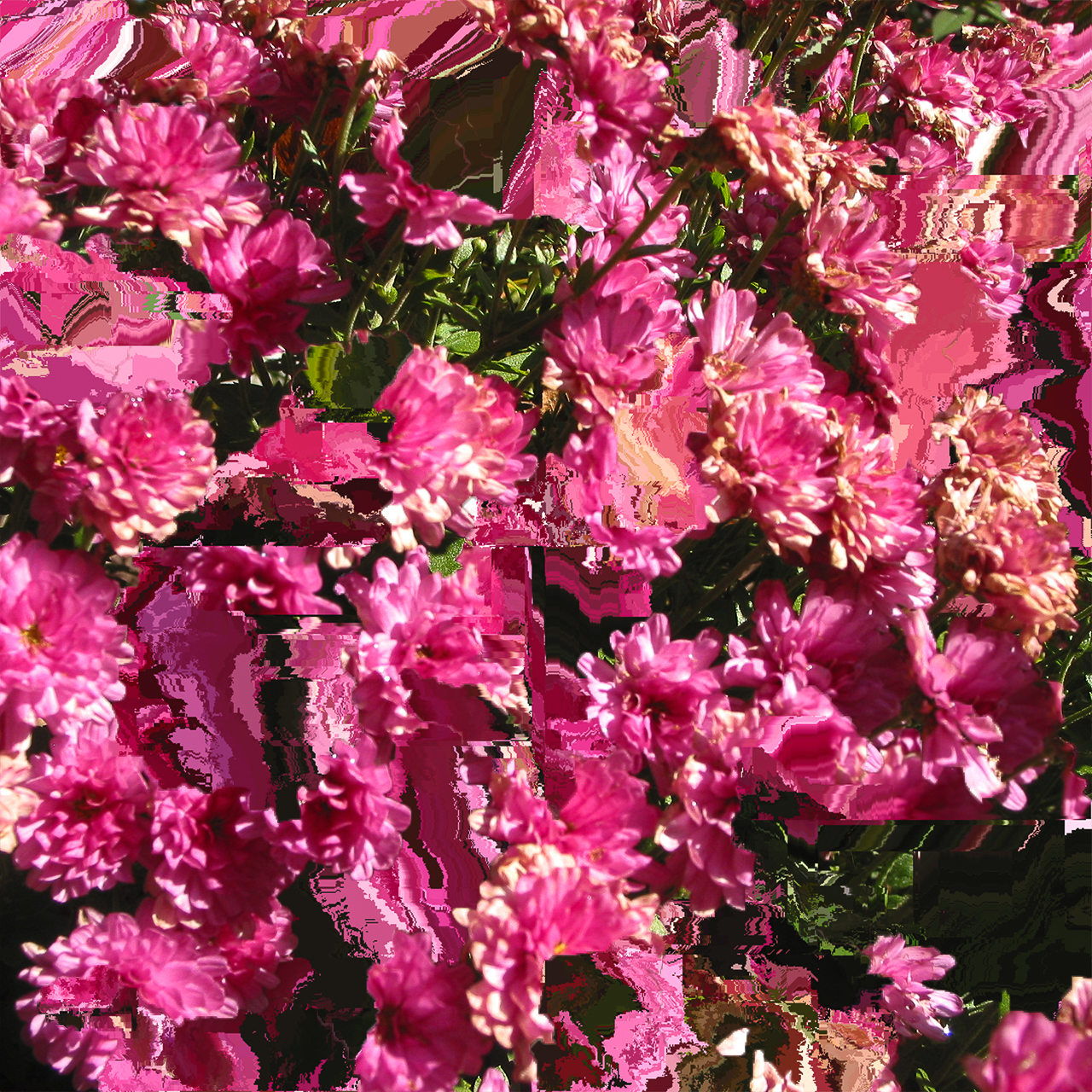 [Description image 2]